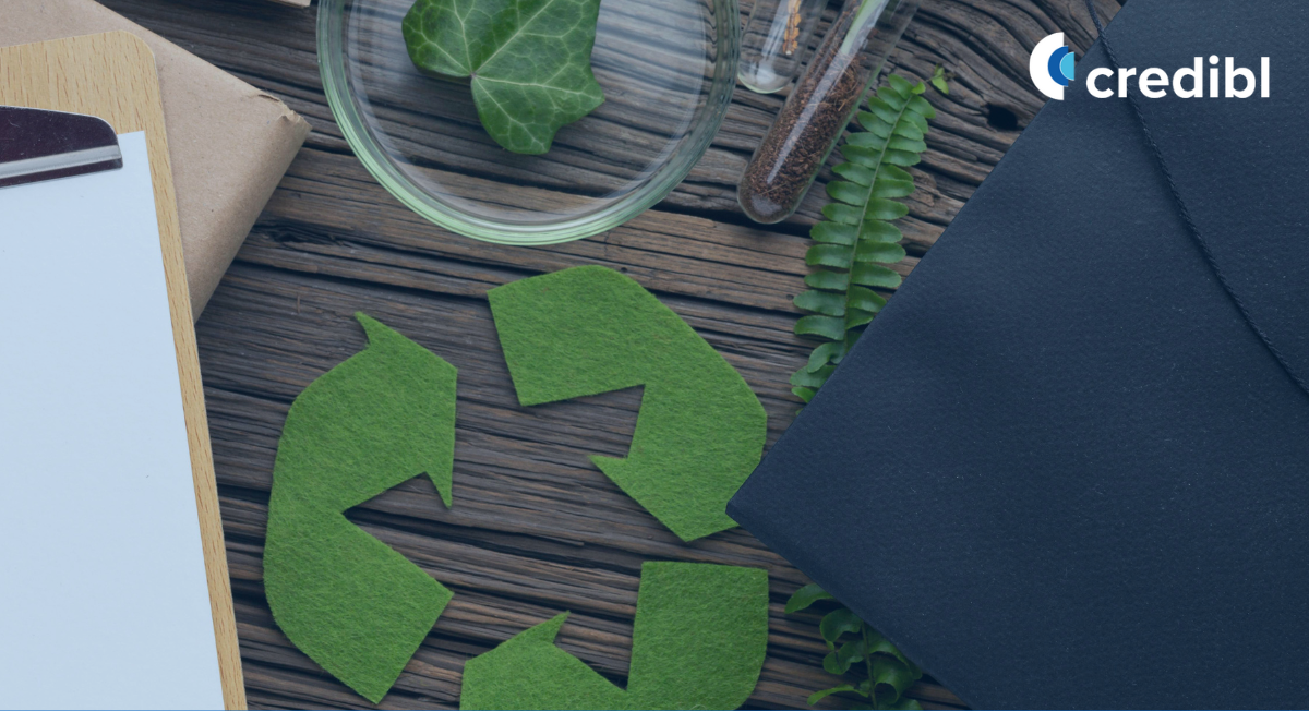 The Ultimate Guide to Global Sustainability Reporting
