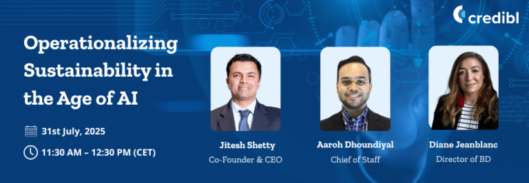 Operationalizing Sustainability in the Age of AI