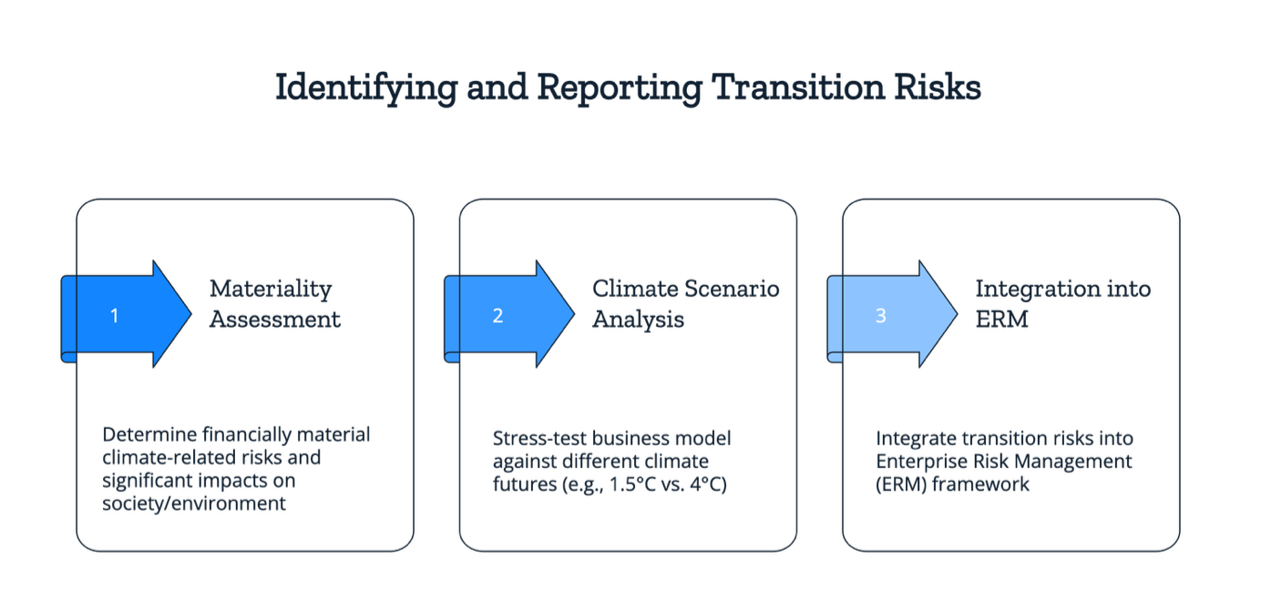 Understanding Transition Risks: How They Impact Businesses? - Credibl