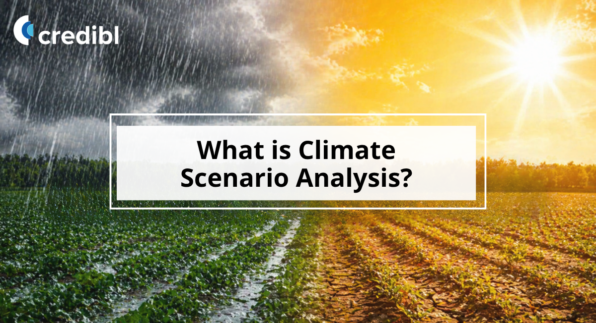What is Climate Scenario Analysis? Tools, Steps & Examples