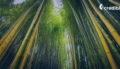 From Compliance to Strategy: How APAC Nations Are Localizing ISSB Standards